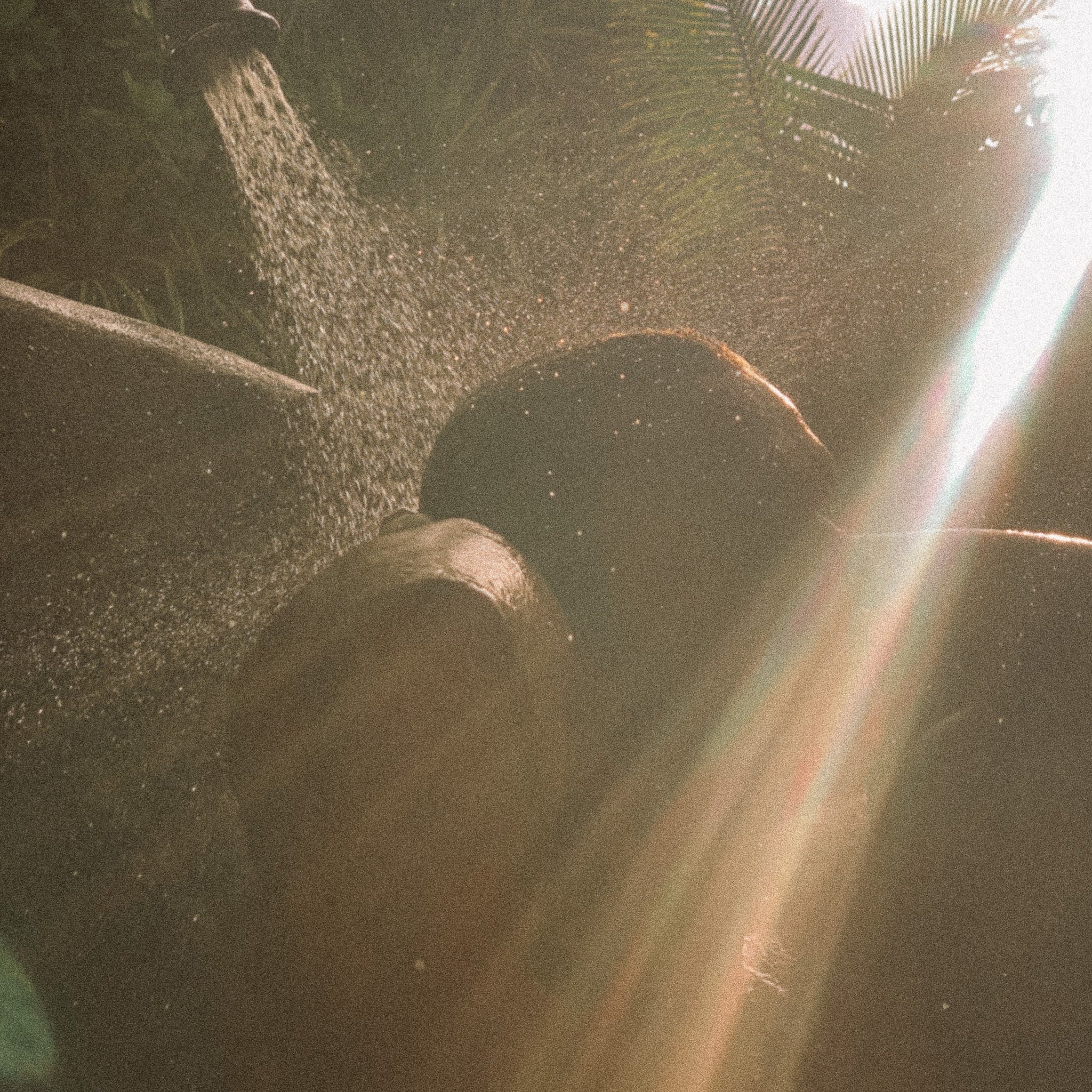 Why It’s Time to Stop Using Shampoo and Conditioner (and What to Do Instead)