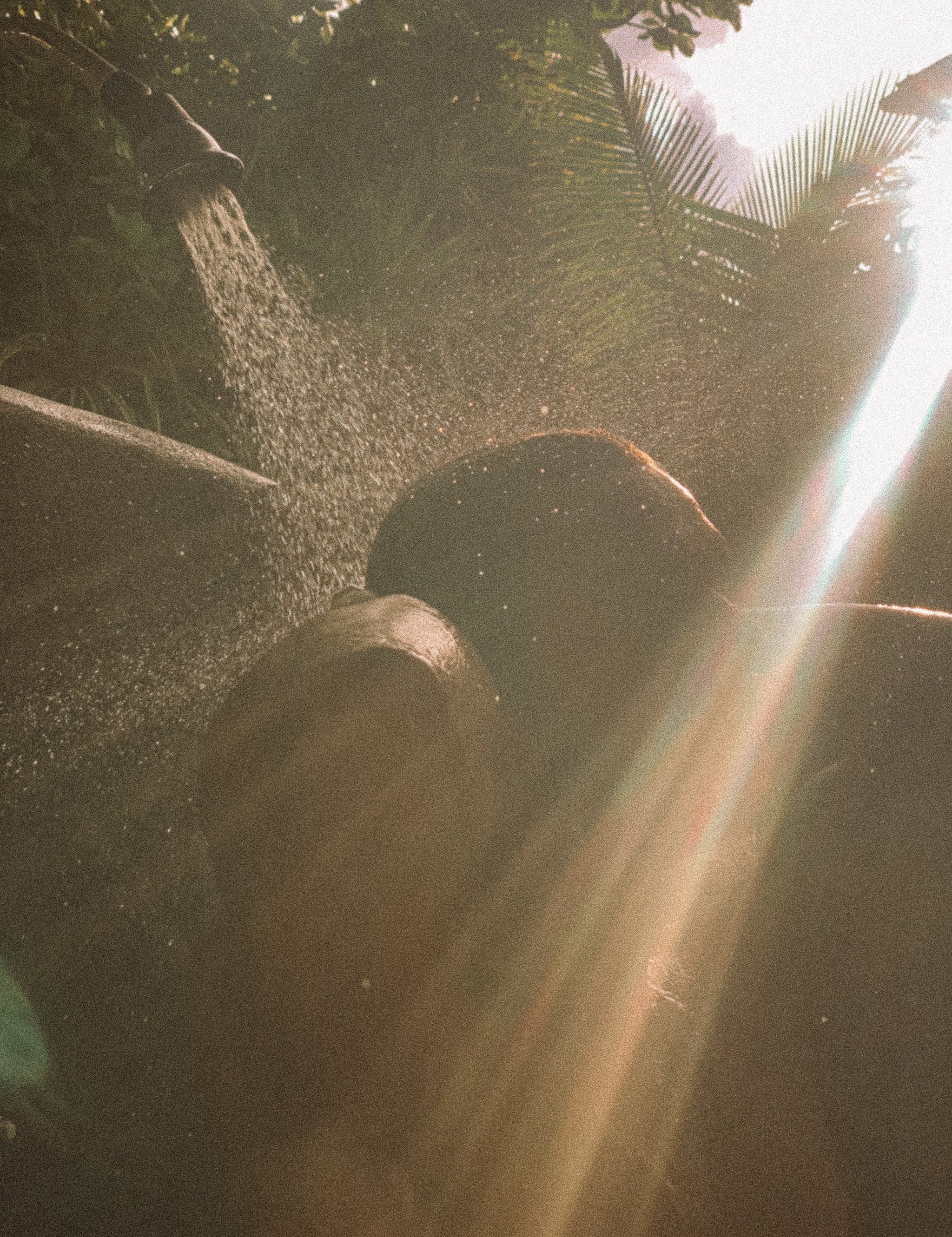 Why It’s Time to Stop Using Shampoo and Conditioner (and What to Do Instead)