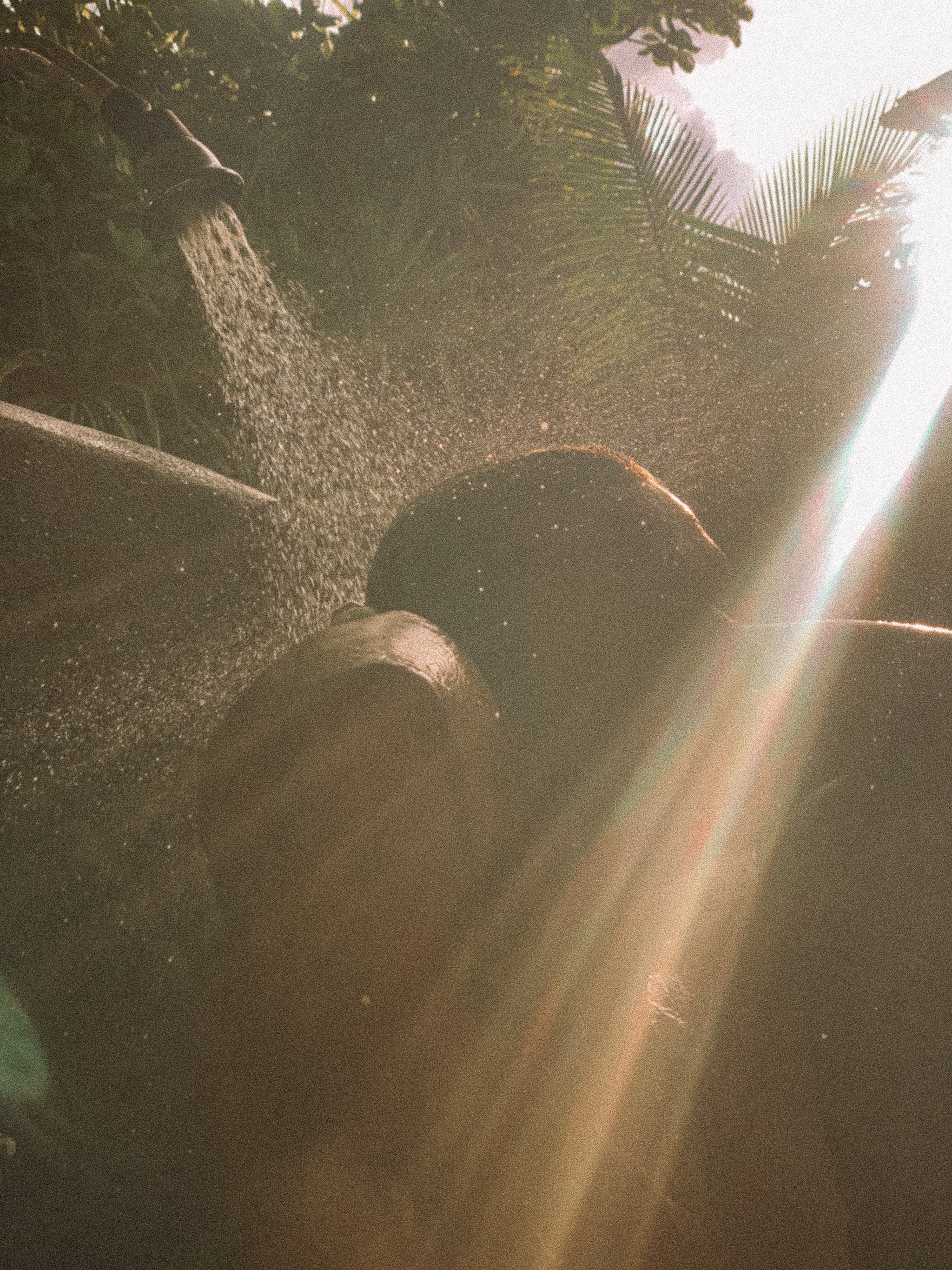 Why It’s Time to Stop Using Shampoo and Conditioner (and What to Do Instead)